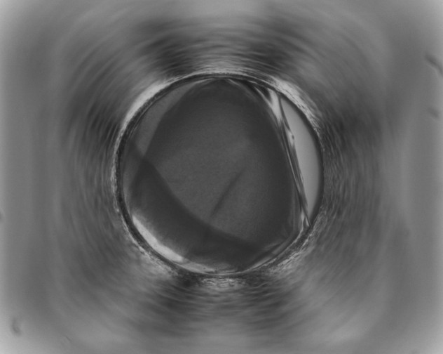 X0000094781331200712071156