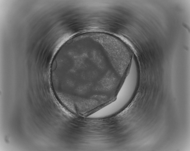 X0000094781333200712071156