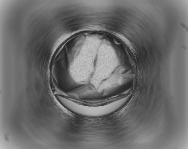 X0000094781335200712071156