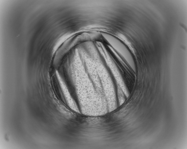 X0000094781336200712071156