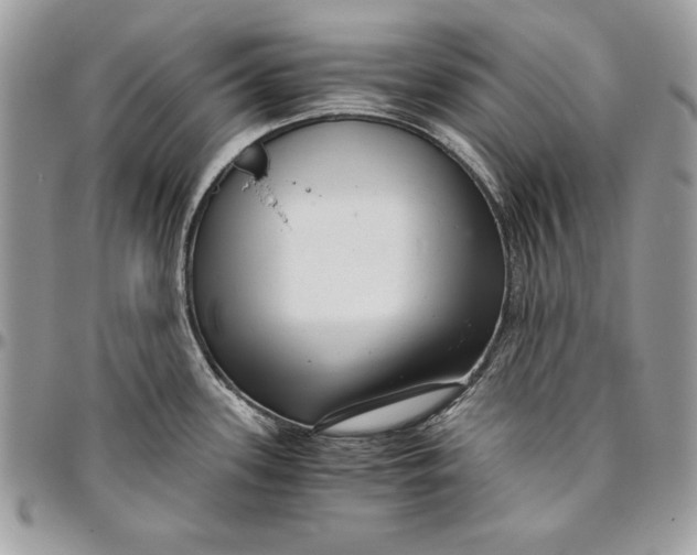 X0000094781339200712071156