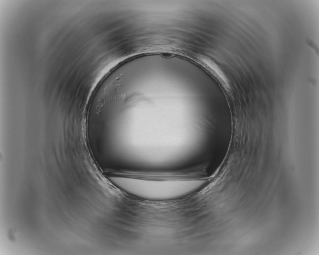 X0000094781340200712071156