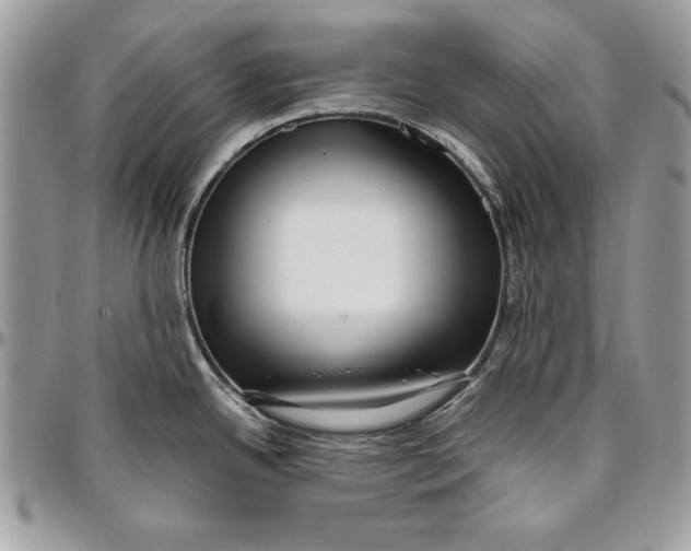 X0000094781342200712071156