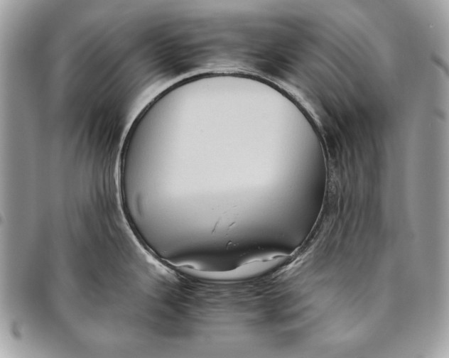 X0000094781343200712071156