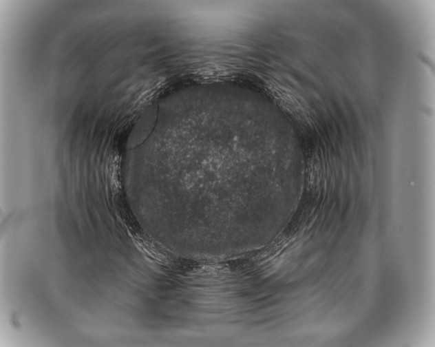 X0000094781346200712071155