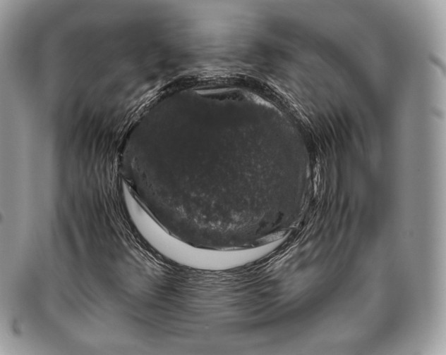 X0000094781348200712071155