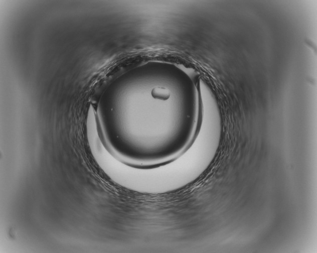 X0000094781349200712071155