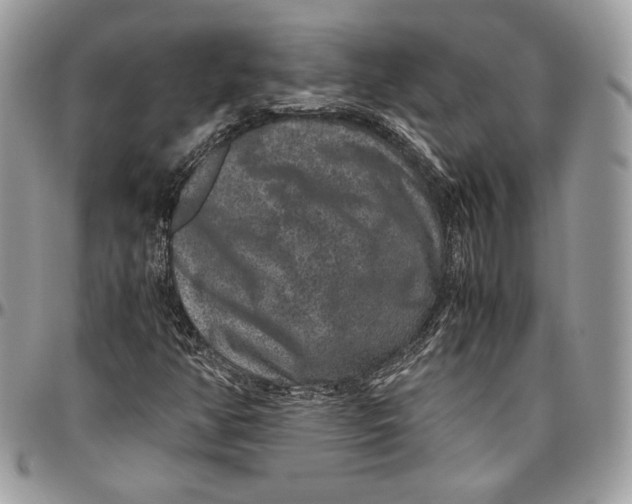 X0000094781350200712071155