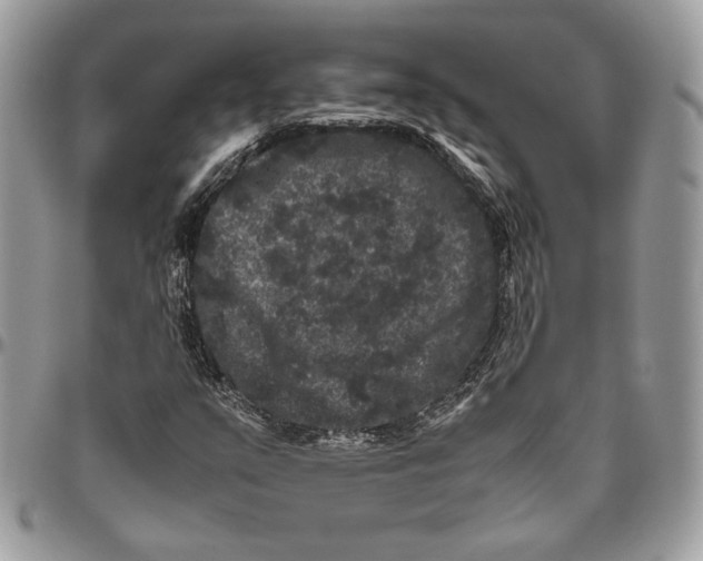 X0000094781351200712071155