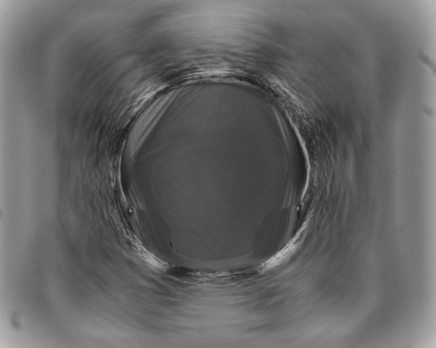 X0000094781353200712071155