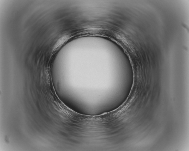 X0000094781354200712071155