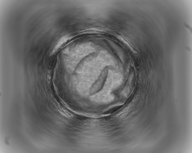 X0000094781355200712071155