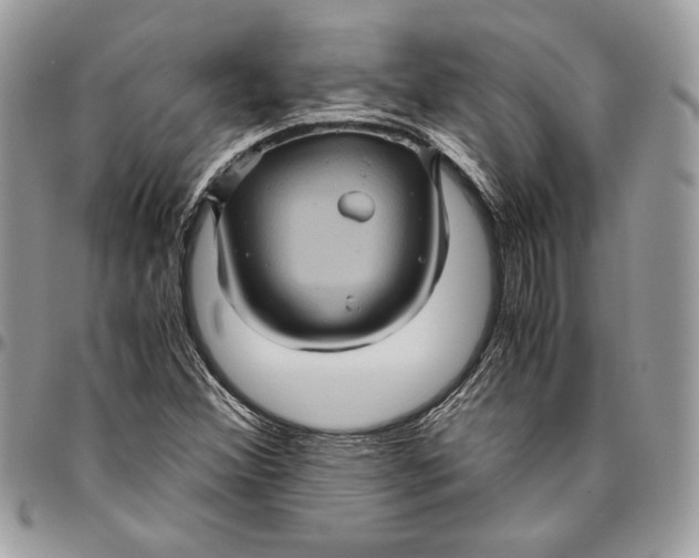 X0000094781356200712071155