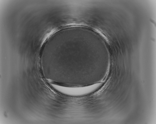 X0000094781357200712071155