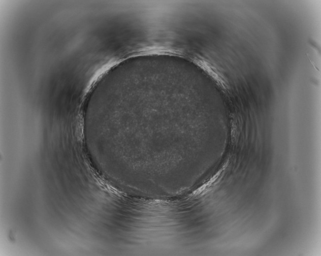 X0000094781358200712071155