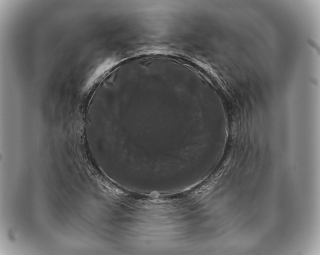 X0000094781359200712071155