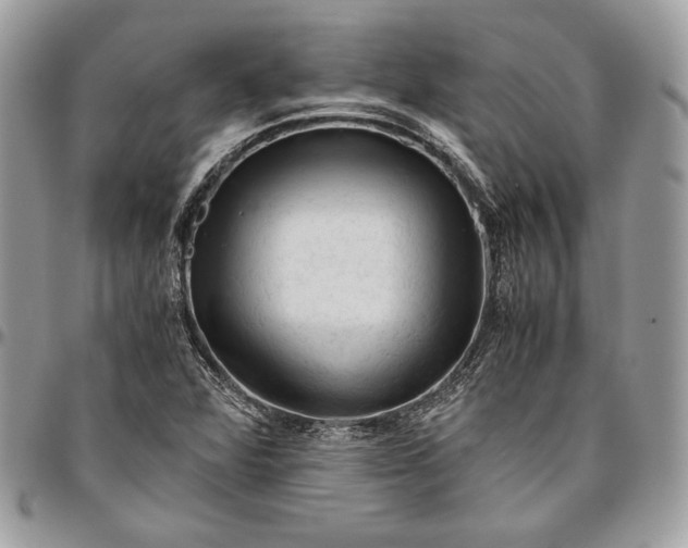 X0000094781360200712071155