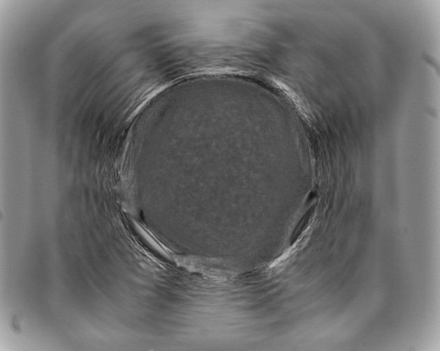 X0000094781361200712071155