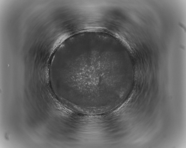 X0000094781362200712071155