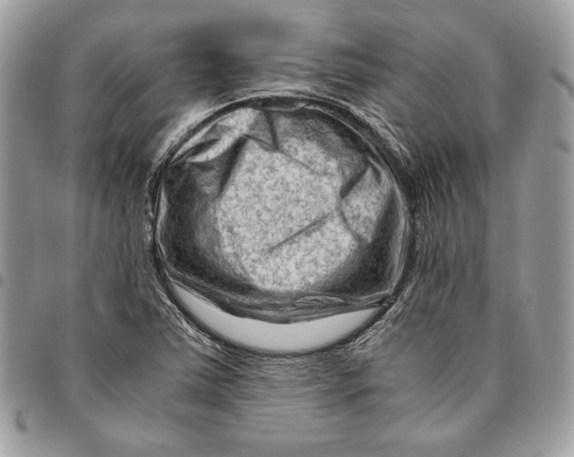 X0000094781363200712071155