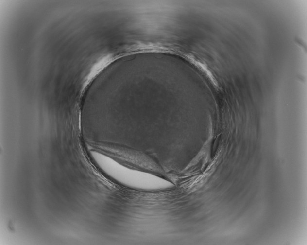 X0000094781365200712071155