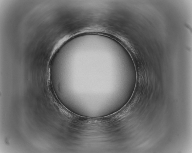 X0000094781366200712071155