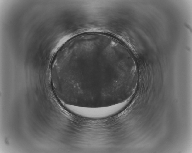 X0000094781367200712071155