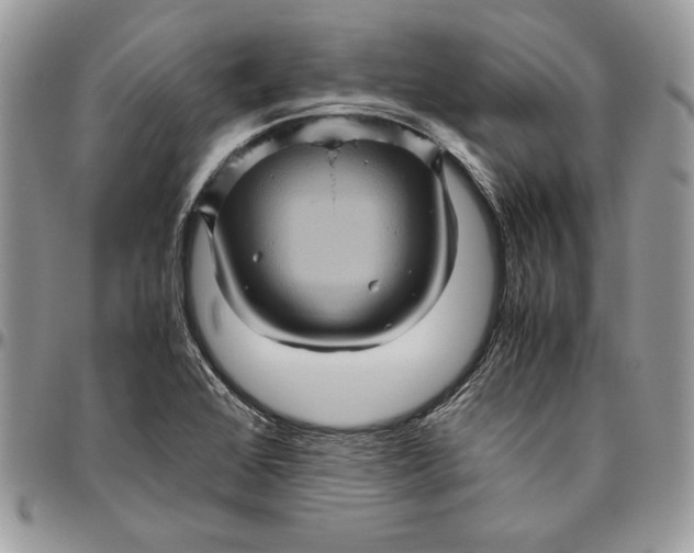 X0000094781368200712071155