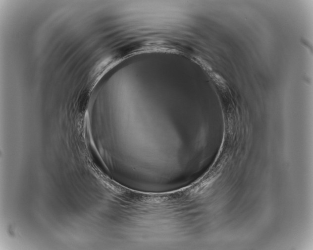 X0000094781369200712071155