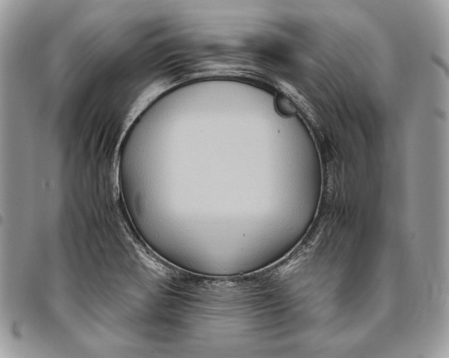 X0000094781370200712071155