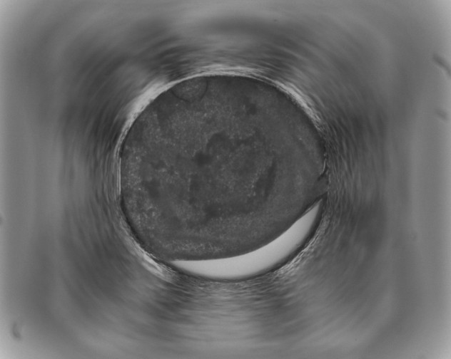 X0000094781371200712071155