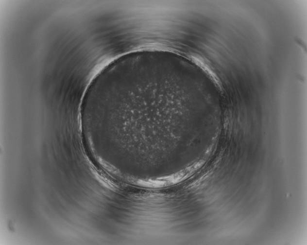 X0000094781372200712071155