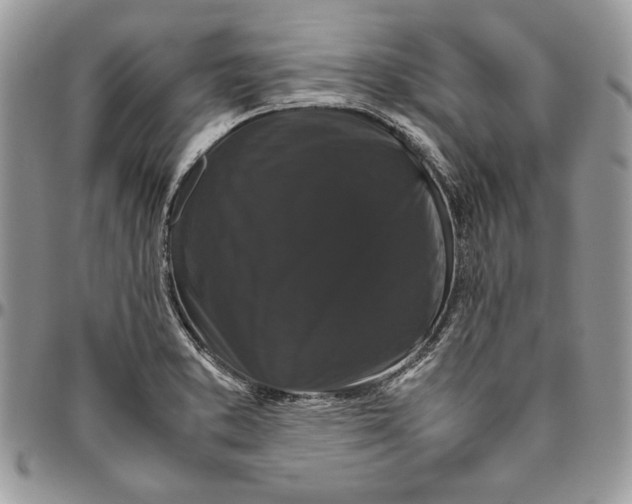 X0000094781373200712071155