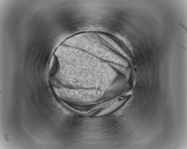 X0000094781374200712071155