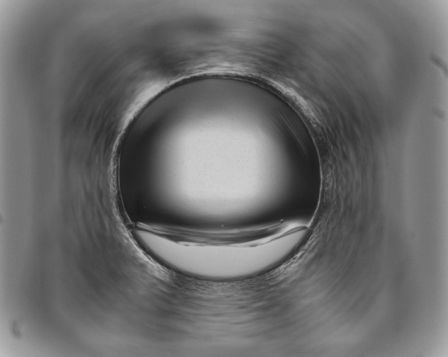 X0000094781375200712071155