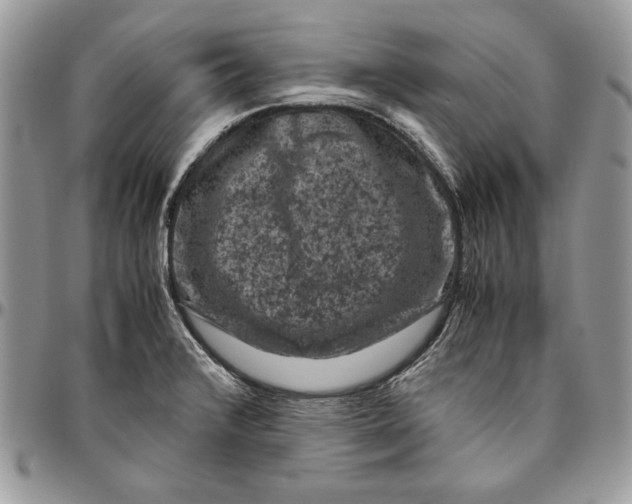 X0000094781376200712071155