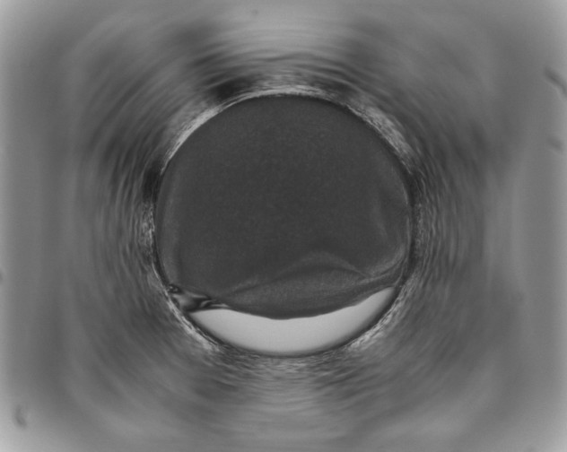 X0000094781377200712071155