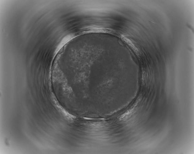 X0000094781378200712071155