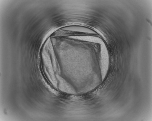 X0000094781379200712071155