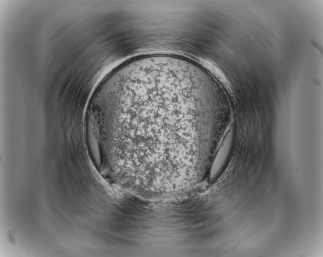 X0000094781380200712071155