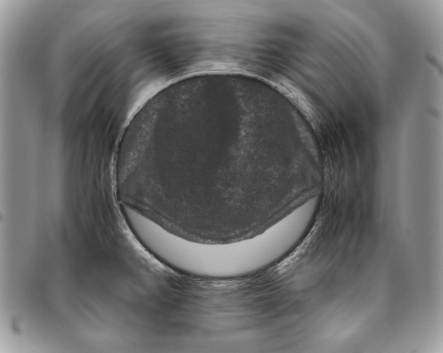 X0000094781382200712071155