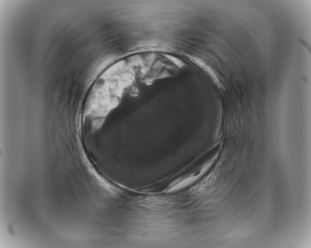 X0000094781383200712071155