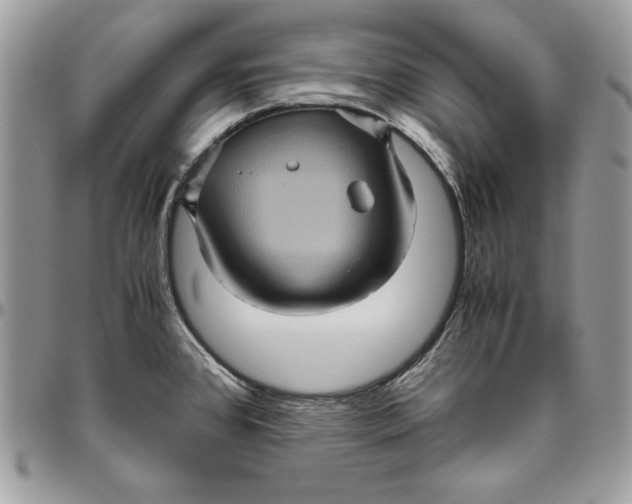 X0000094781384200712071155