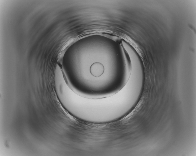 X0000094781385200712071155