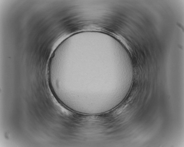 X0000094781387200712071155