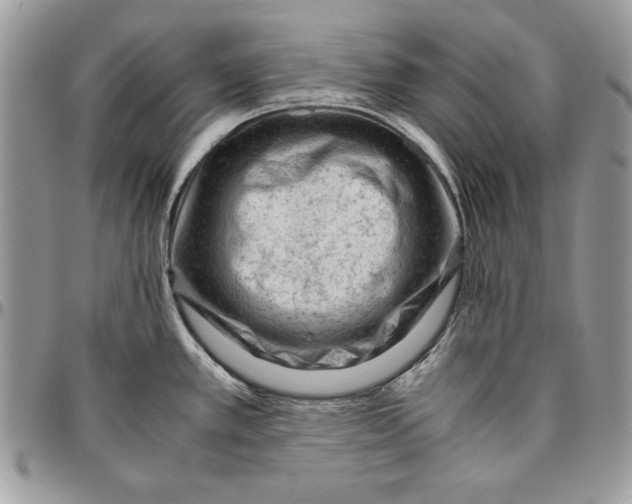 X0000094781389200712071155