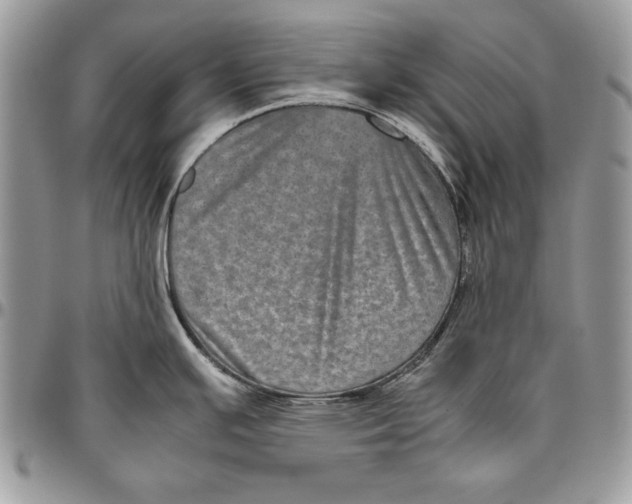 X0000094781391200712071155