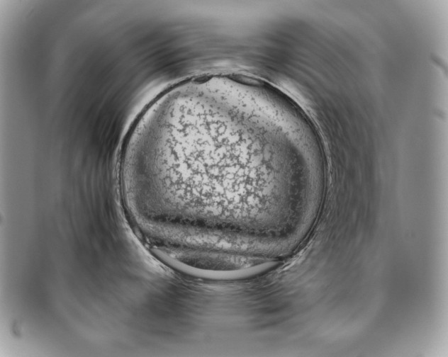 X0000094781392200712071155