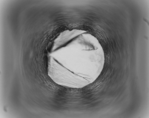 X0000094781393200712071154