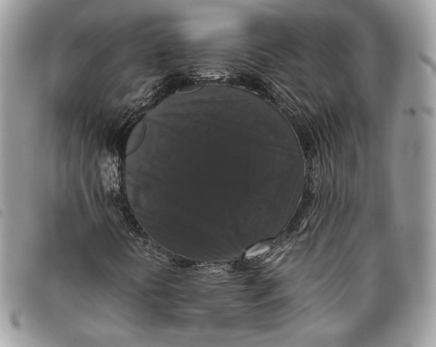 X0000094781394200712071154